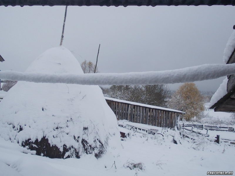 В Пакшеньге первый снег. 11 октября 2014 г.